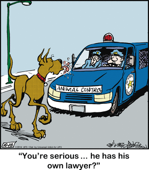 marmaduke